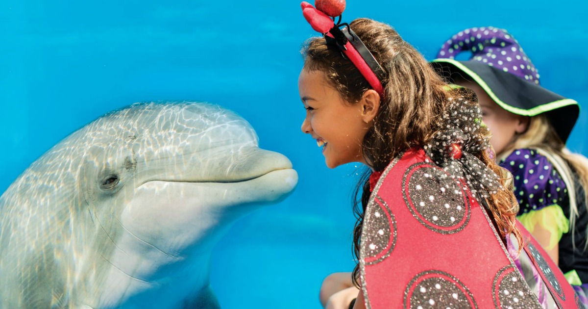 Kids wearing costumes and looking at a dolphin at SeaWorld