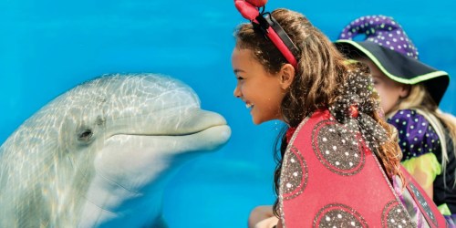 FREE SeaWorld Orlando Preschool Pass for Florida Residents