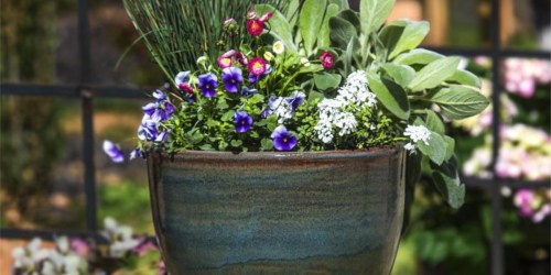 Up to 75% Off Planters at Lowe’s