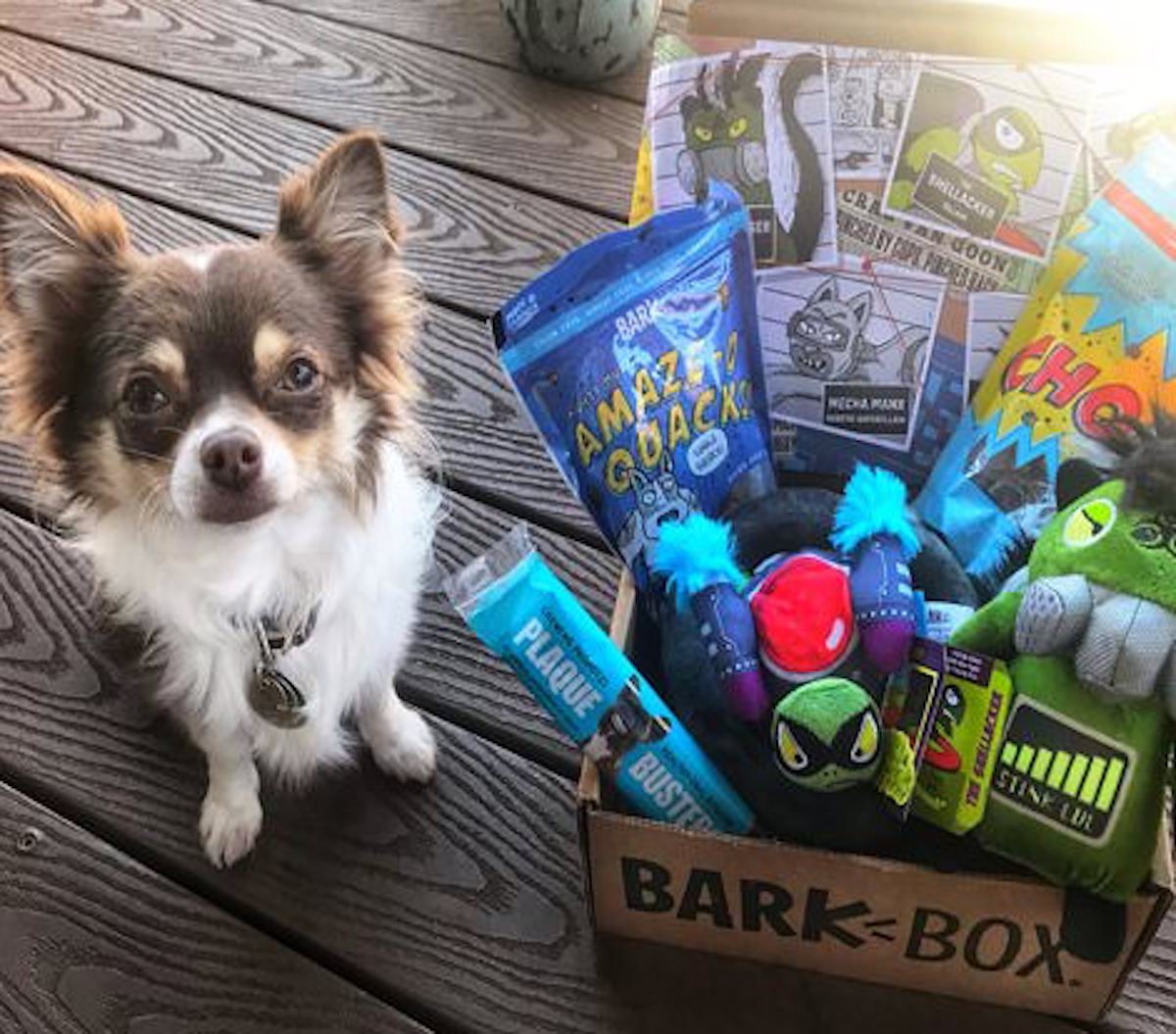 barkbox for power chewers