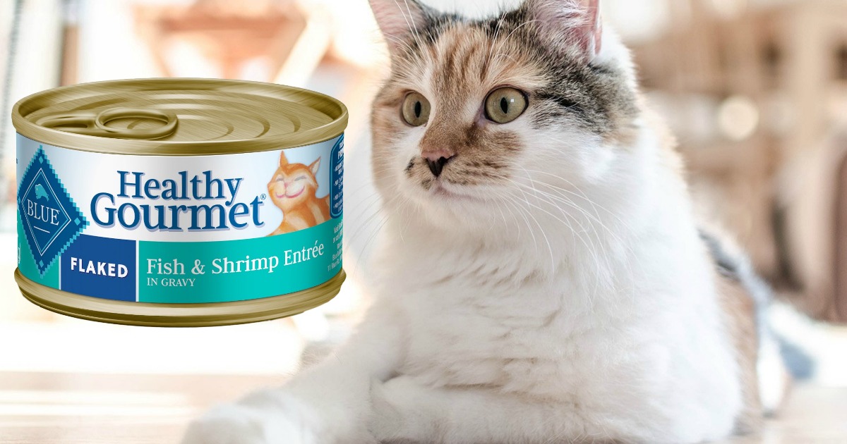 Blue Buffalo Wet Cat Food 24 Cans As Low As 13 48 At Amazon