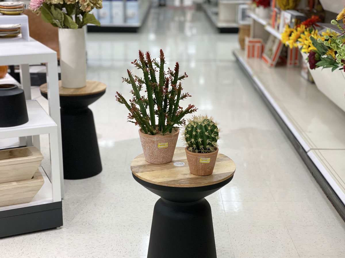faux succulents at Target