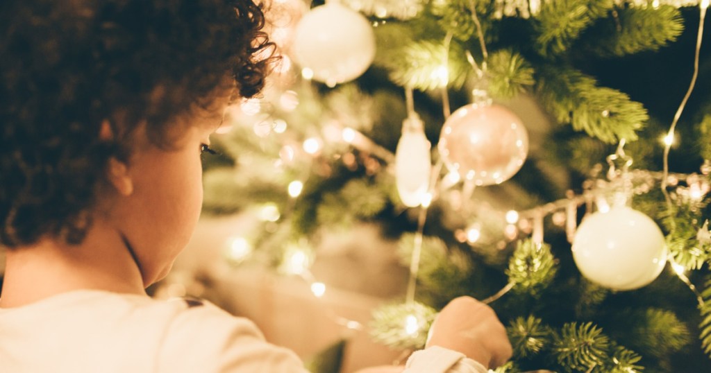 The Christmas Tree Project Will Deliver a FREE Tree to a Family in Need
