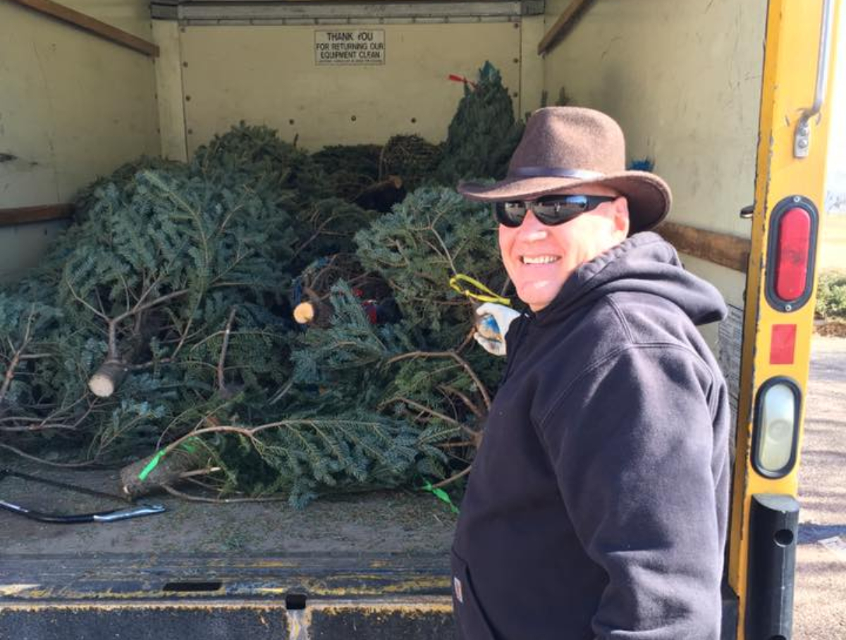 Man loading Christmas trees