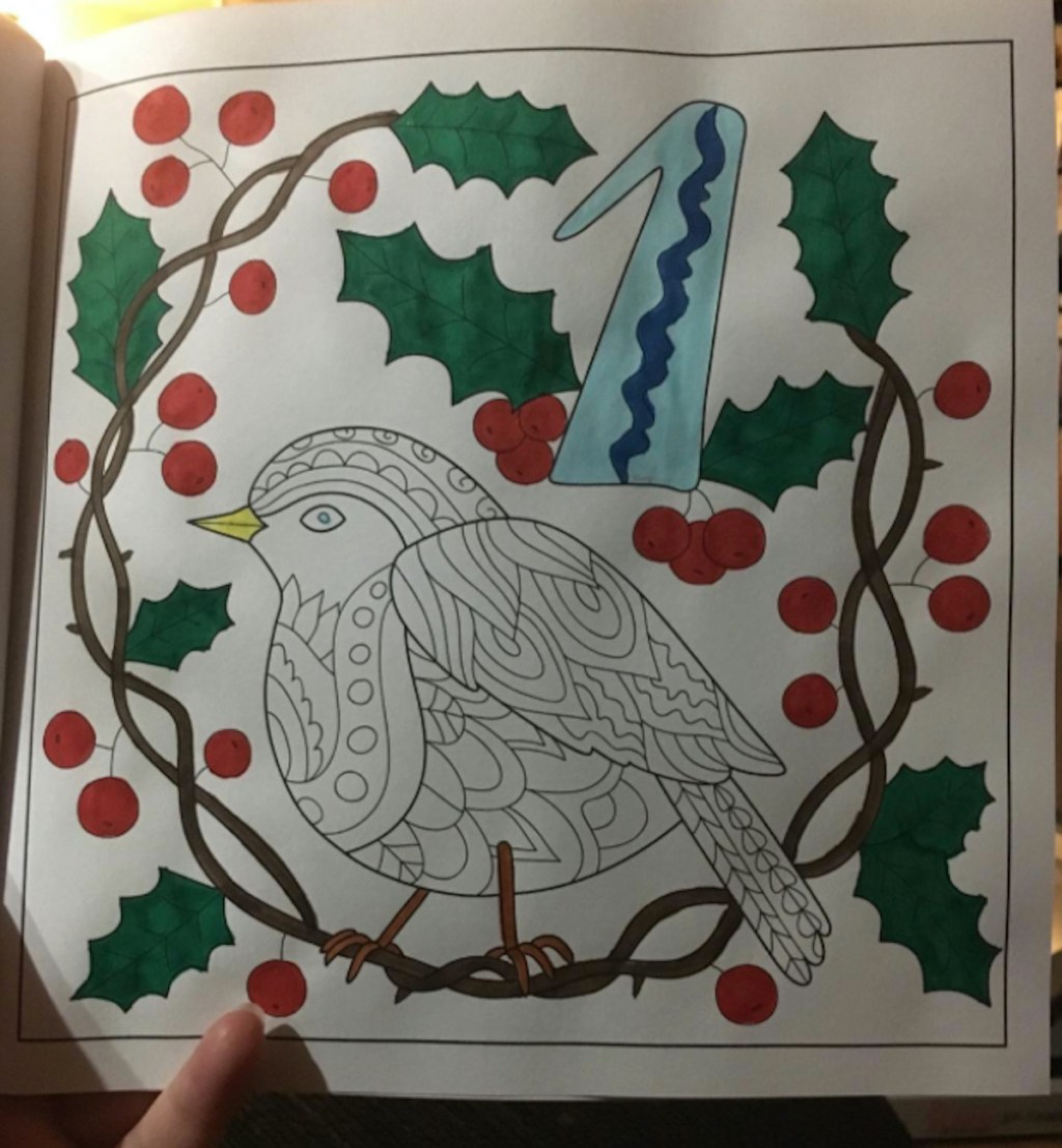 coloring book with bird and holly