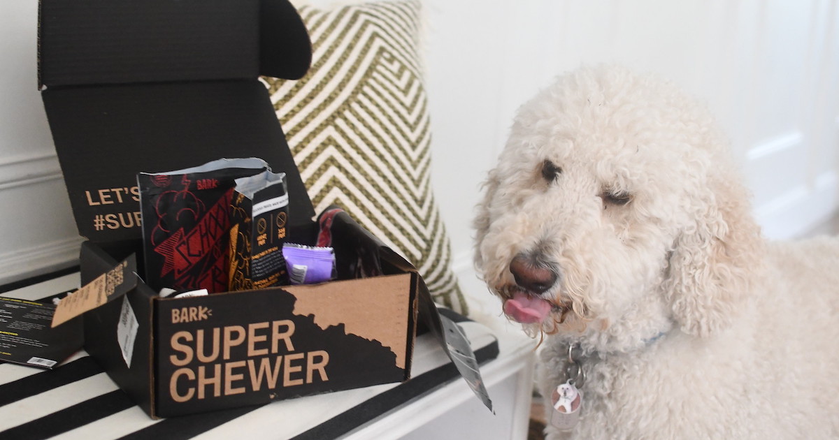 dog subscription box for chewers