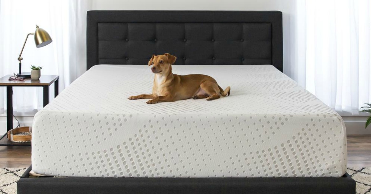best price twin memory foam mattress