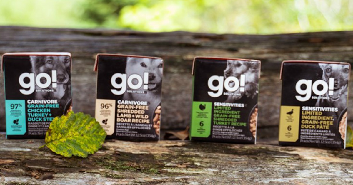 go wet dog food