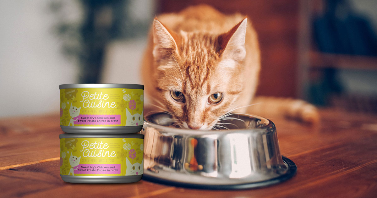 Petite cuisine shop cat food recall