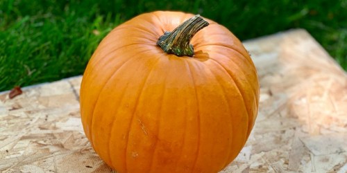 10% Off Pumpkins at Target | Just Use Your Phone