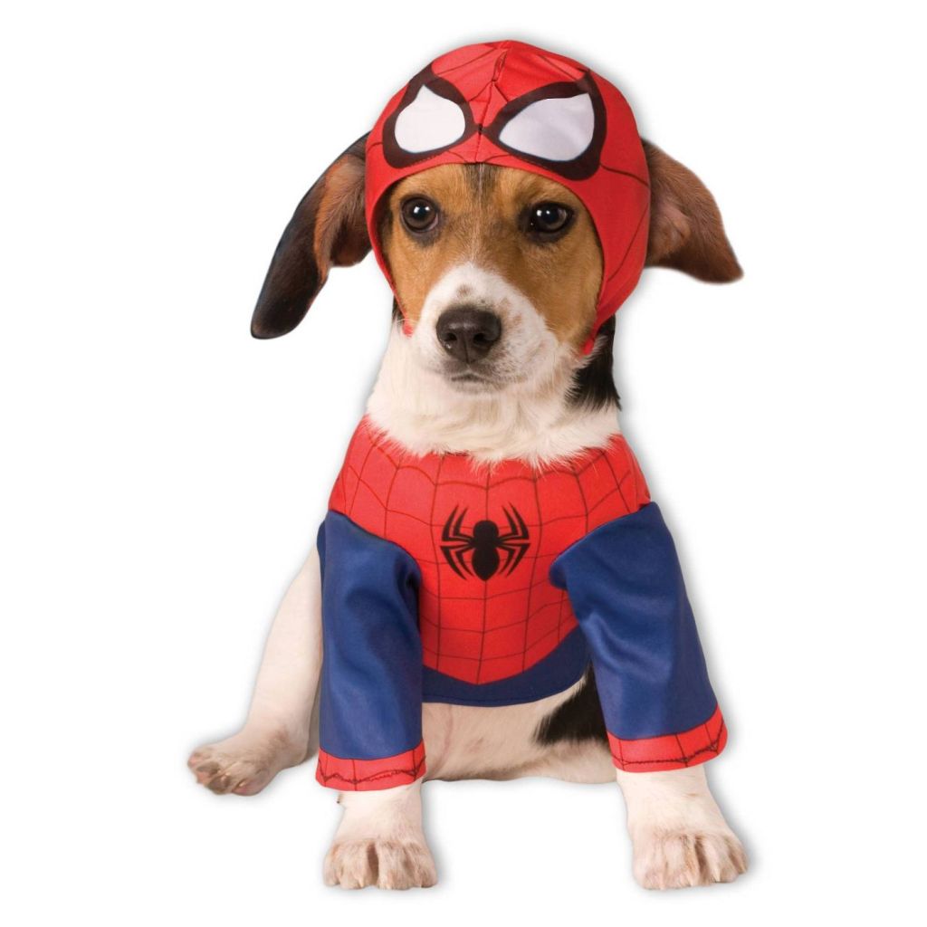 spiderman pet costume