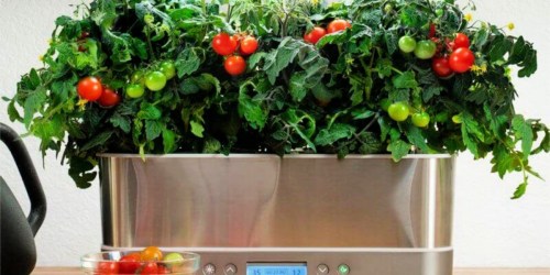 Up to 45% Off AeroGarden Seed Starting Systems + FREE Shipping | Great Gift Ideas