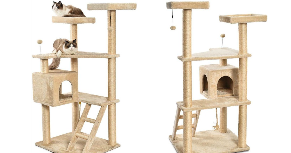 amazonbasics cat tree