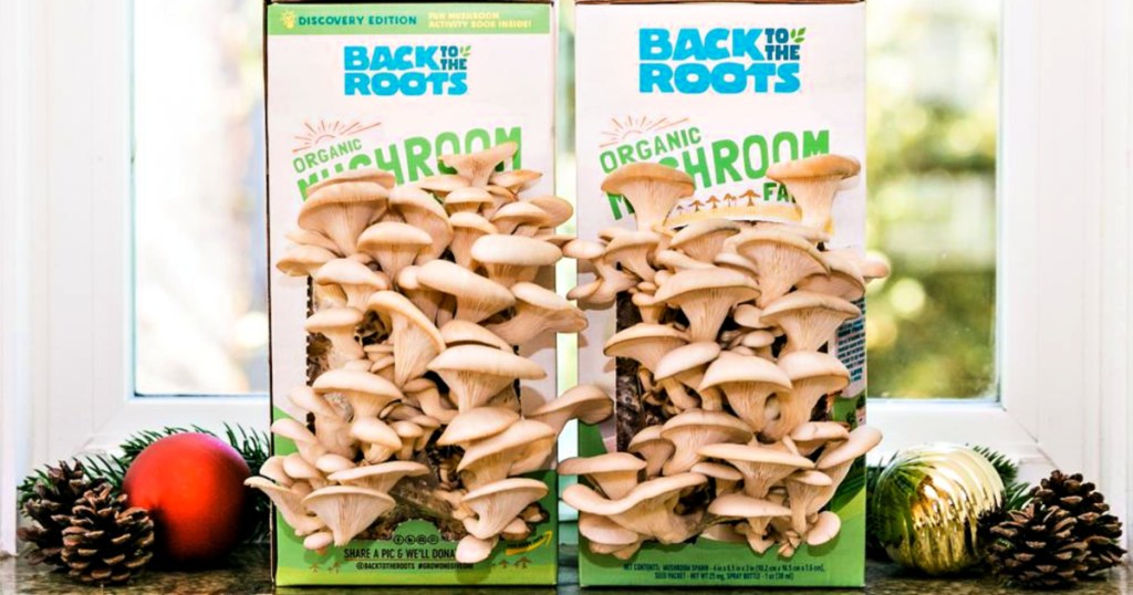 Back to the Roots Organic Mushroom Grow Kit 2-Pack