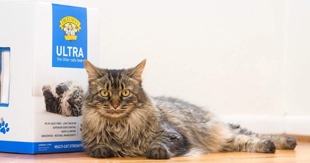 FREE Dr. Elsey's Ultra Premium Clumping Cat Litter 40Pound Bag After
