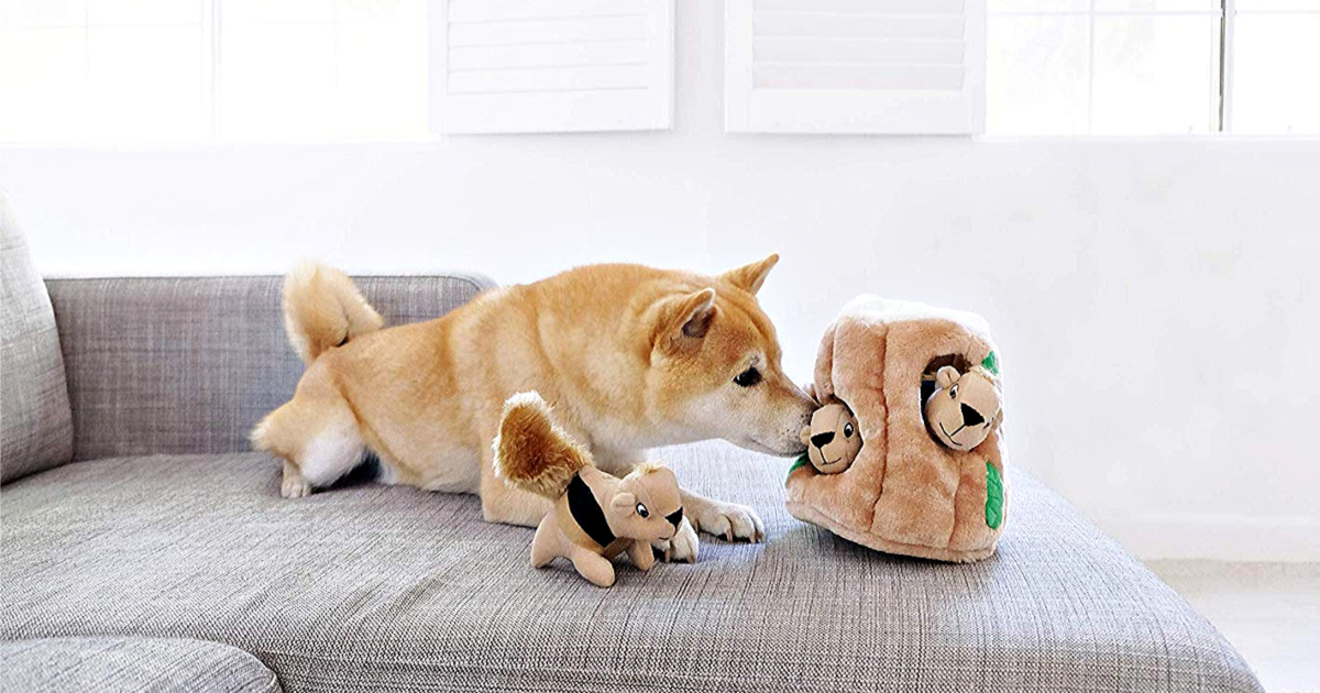 puzzle toys for dogs amazon