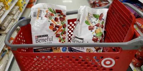 NEW Purina Coupons = Up to 40% Off Beneful Dog Food at Target
