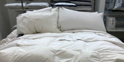 Goose Feather & Down 240-Thread Count White Comforter Only $44.99 Shipped | Includes All Sizes