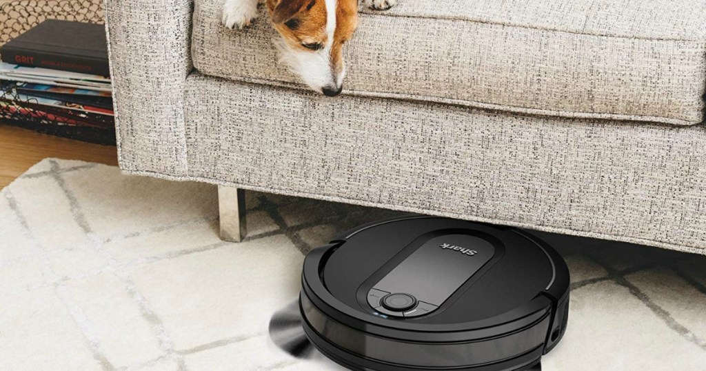 dog sitting on couch looking at robotic vacuum