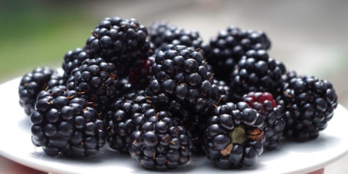 Ongoing Hepatitis A Outbreak Linked to Fresh Blackberries in 6 States