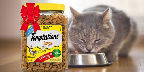 Temptations Cat Treats BIG 30oz Jar Just $7 Shipped at Amazon (Regularly $16)