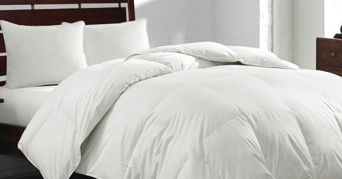 Royal Luxe White Goose Feather & Down 240-Thread Count Comforter