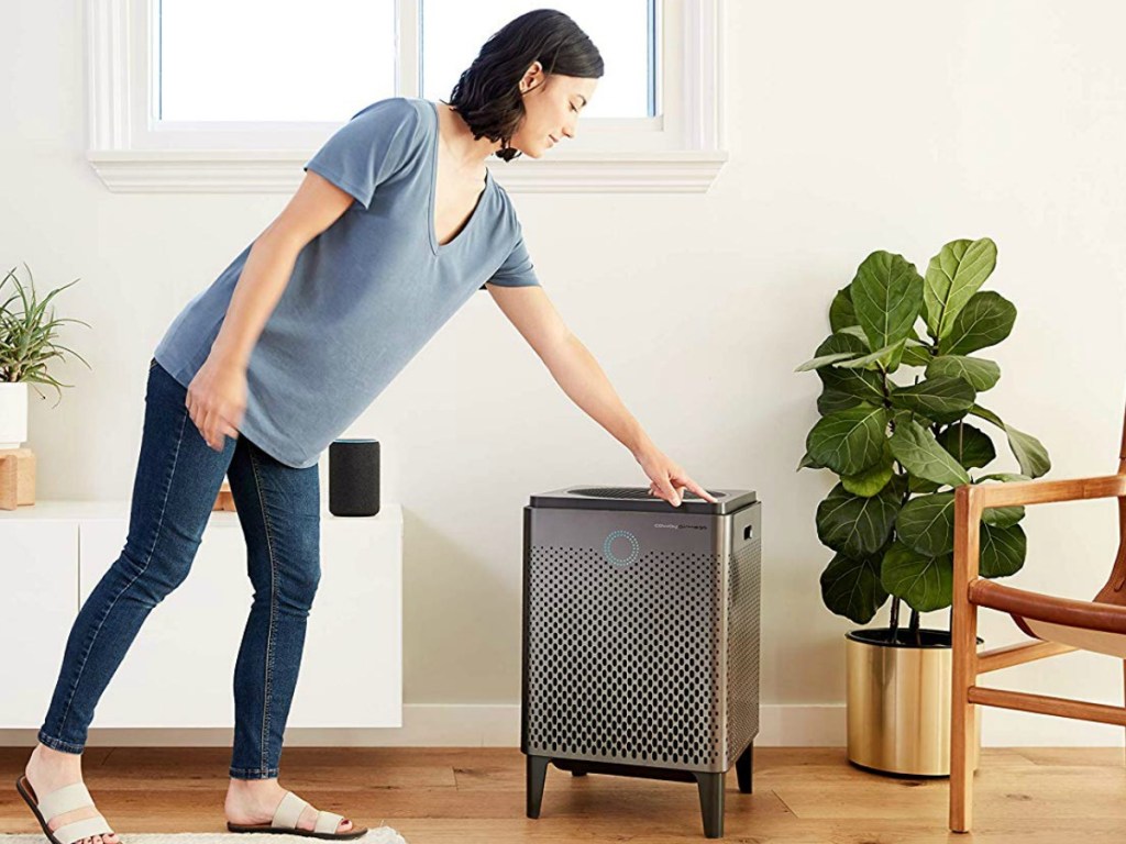 woman pressing button on the top of air filter in livingroom