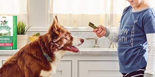 Greenies Dental Dog Treats 27oz Box Just $12.73 Shipped on Amazon (Regularly $20)