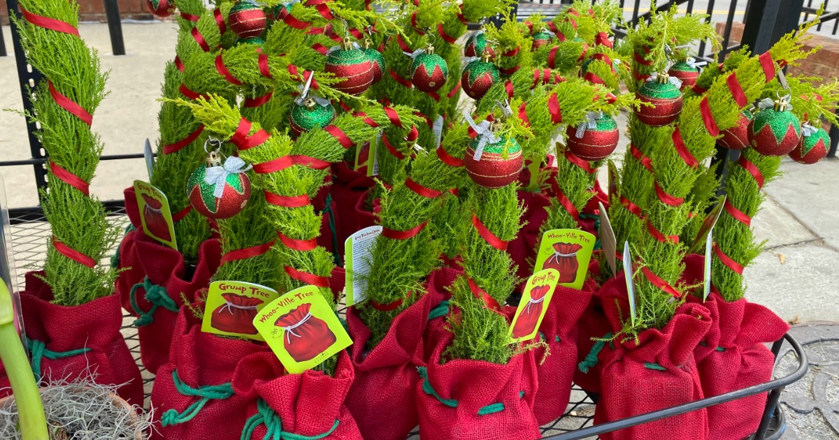 Trader Joe's Grinch Christmas Trees Have Returned & They're Only 9.99