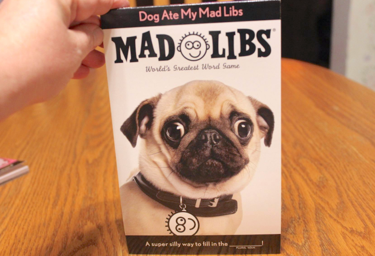 hand holding a mad libs book with dog on front