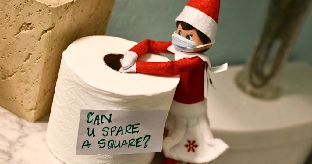 masked elf on the shelf on toilet paper