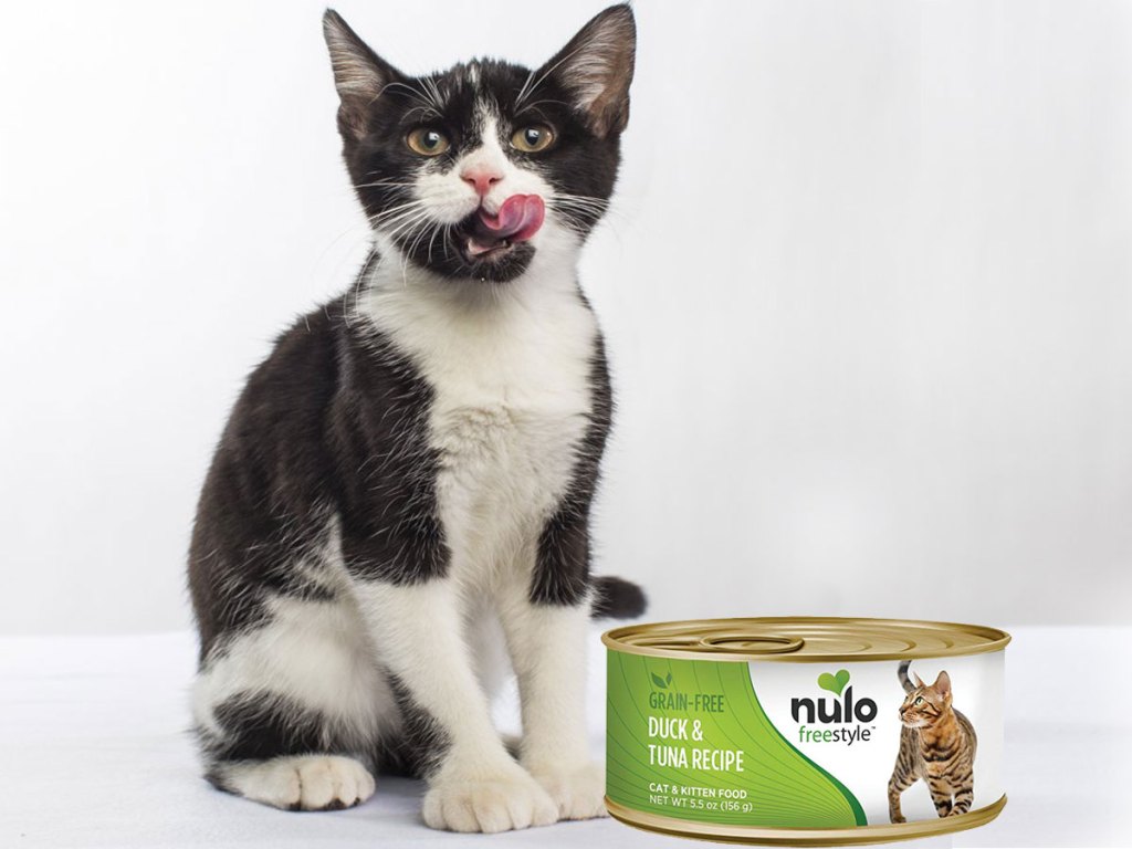 wet cat food NULO with cat licking its chomps