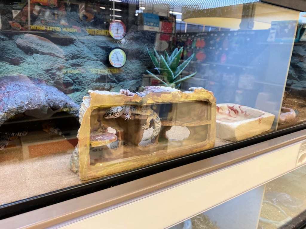 These 26 Nationwide Retailers Offer Amazon Price Match Hip2Save