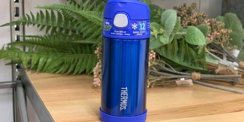 FREE $10 Fandango Movie Code w/ Purchase of Thermos FUNtainer Bottle
