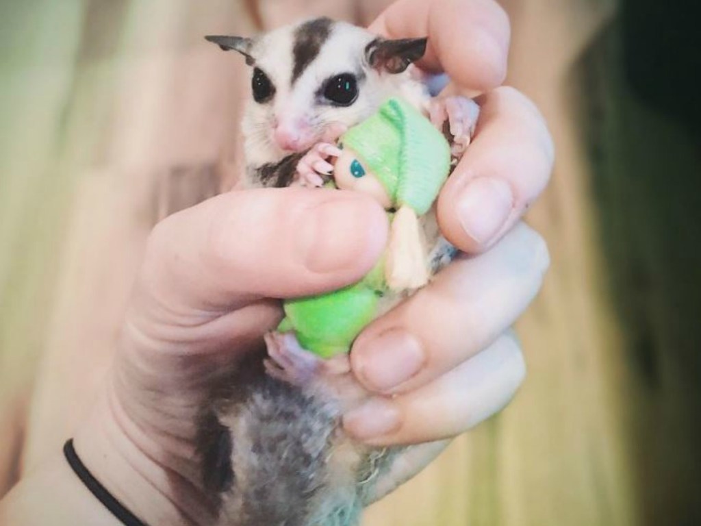 hand holding mouse and tiny stuffed animal