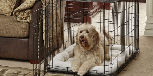 MidWest Homes for Pets 42-Inch Dog Crate Only $30 Shipped at Amazon (Regularly $100)