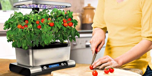 AeroGarden Harvest Elite Only $79.95 Shipped at Amazon (Regularly $170) | Great Gift Idea