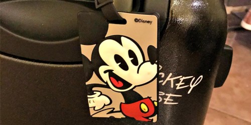 American Tourister Character Luggage Tags Only $3.50 at Amazon (Regularly $8)