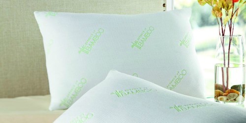 Essence of Bamboo or Copper Pillows 2-Pack Only $10.98 Shipped for Sam’s Club Members
