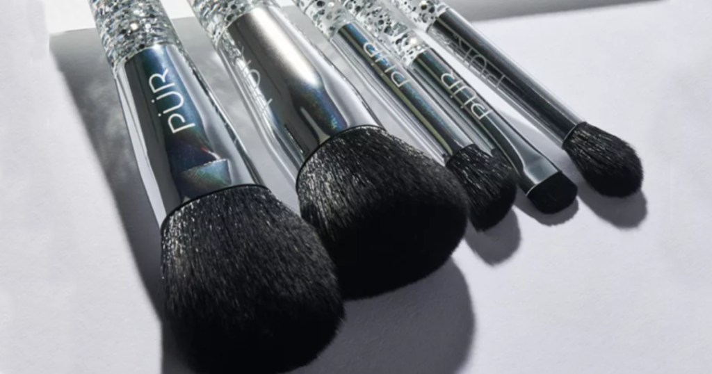 Pur Limited Edition Brush Set 