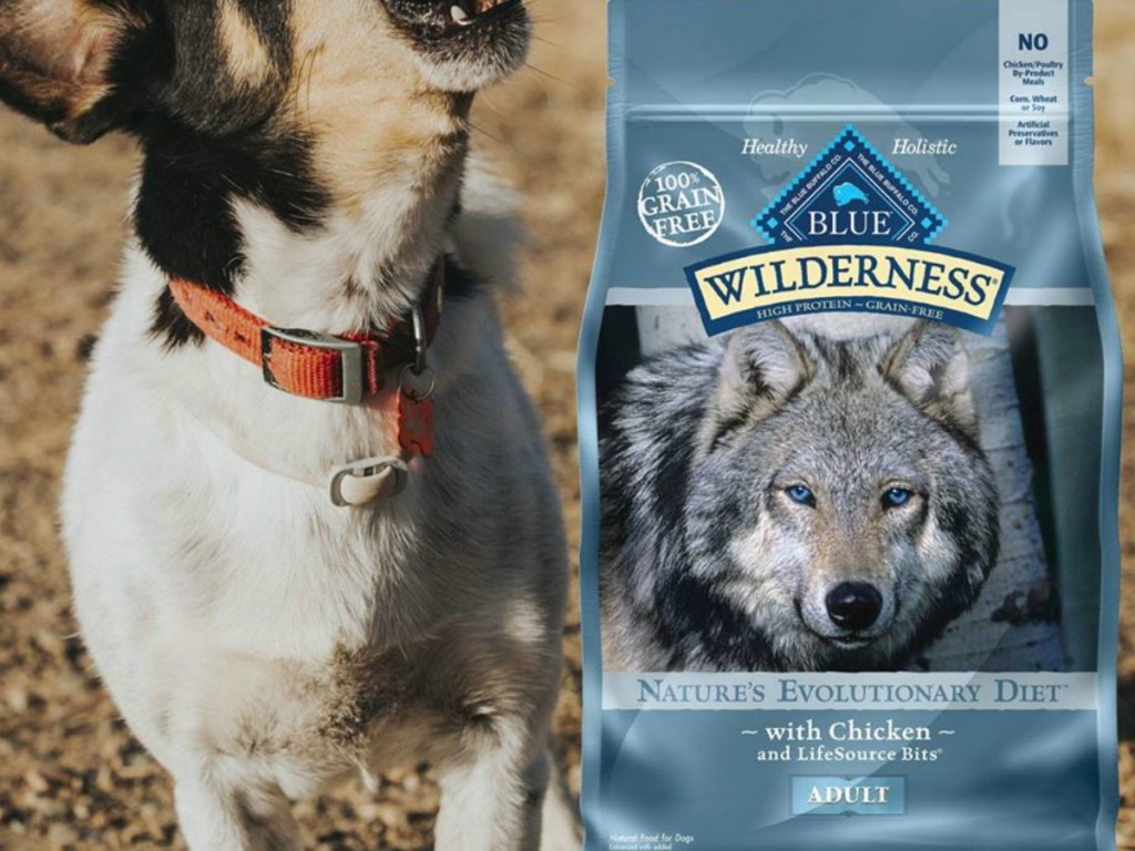 Blue Buffalo Wilderness Dry Dog Food 24-Pound Bags Only $34 Shipped on