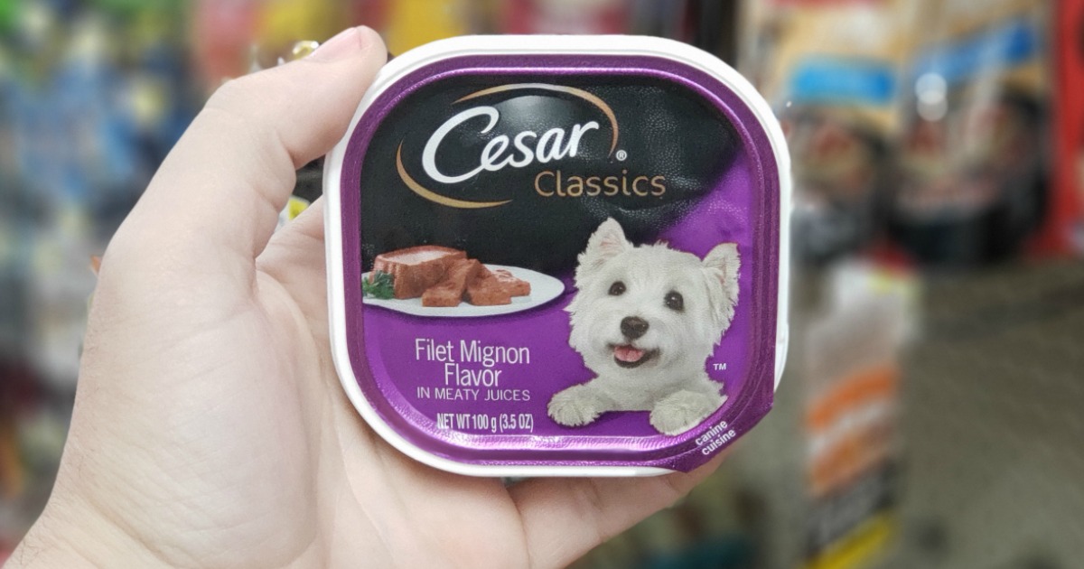 Cesar Wet Dog Food 12-Pack Only $3.99 Shipped on Woot.com (Regularly $15)