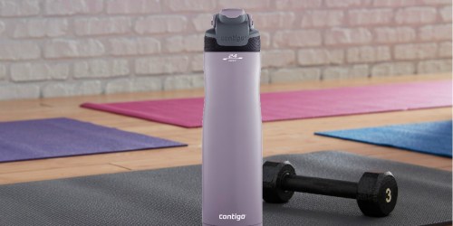 Contigo Autoseal Stainless Steel Water Bottle as Low as $12.70 (Regularly $23)