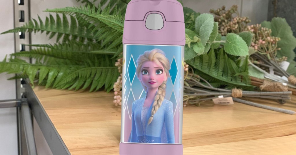 Disney Frozen 2 Thermos pink in store with leaves in the background