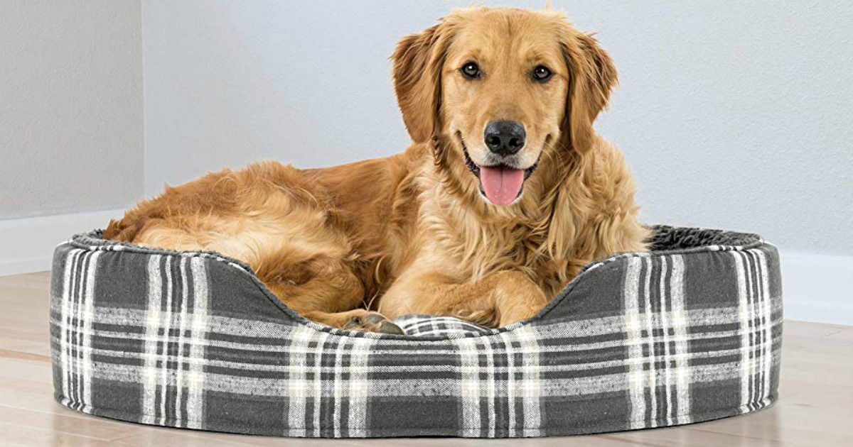 furhaven large dog bed