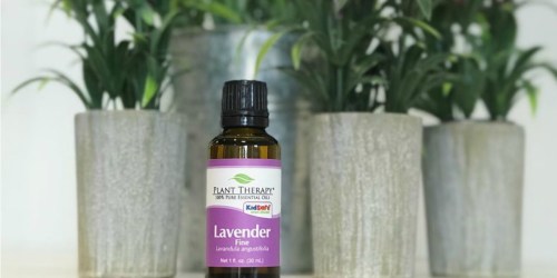 Plant Therapy Essential Oils as Low as $6.36 Shipped