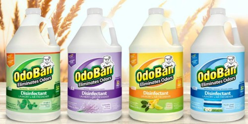 Odoban Multipurpose Cleaner Concentrate Gallon 2-Pack Only $11.98 at Sam’s (Just $5.99 Each)