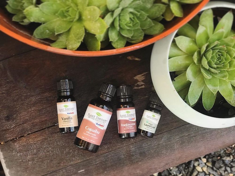 Plant Therapy Oils on table by plants