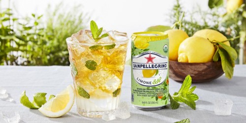 Sanpellegrino Sparkling Organic Juice & Tea 24-Pack Only $5.94 at Walmart (Regularly $19)