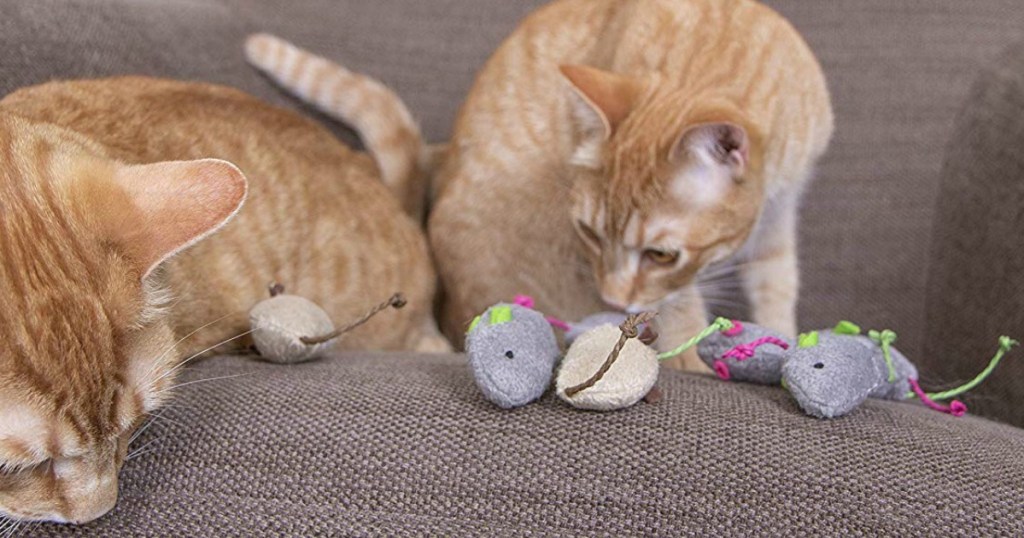Cats playing with SmartyKat Catnip Cat Toys on the sofa